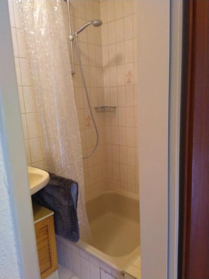 Kleine Ferienwohnung, Einzimmeraparment In Altenkirchen Almersbach Eksteriør billede